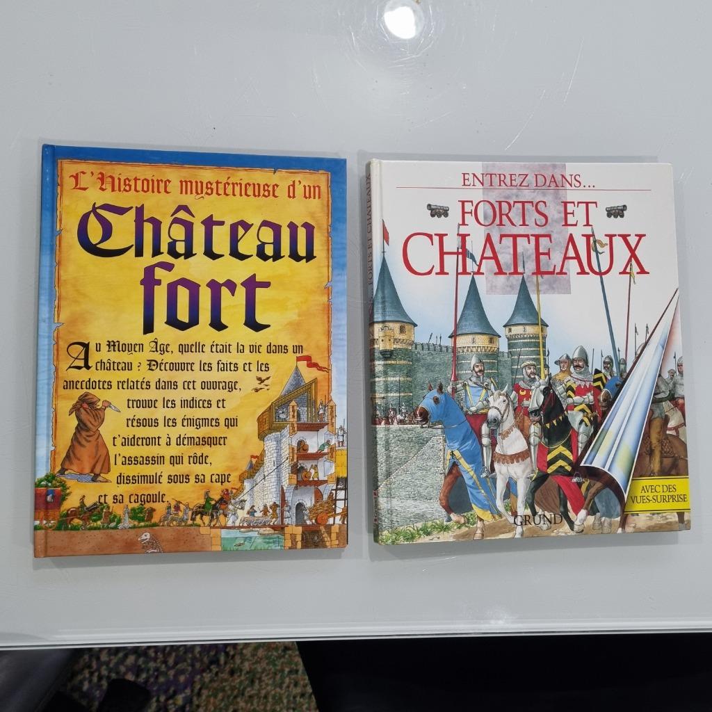 2 livres forts et chateaux, Garçon ou Fille, Enlèvement ou Envoi, Comme neuf, 5 ou 6 ans