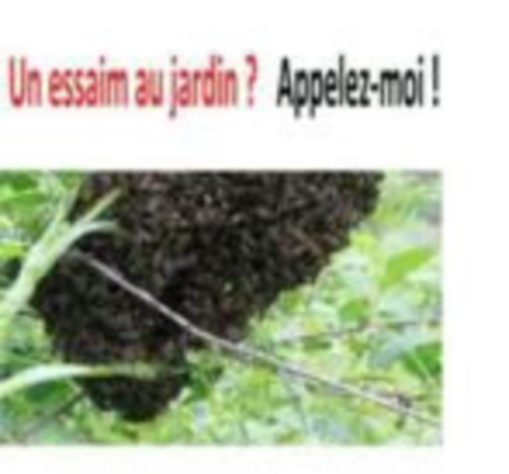 Récupération essaim d'abeilles - pot de miel offert, Enlèvement ou Envoi, Utilisé