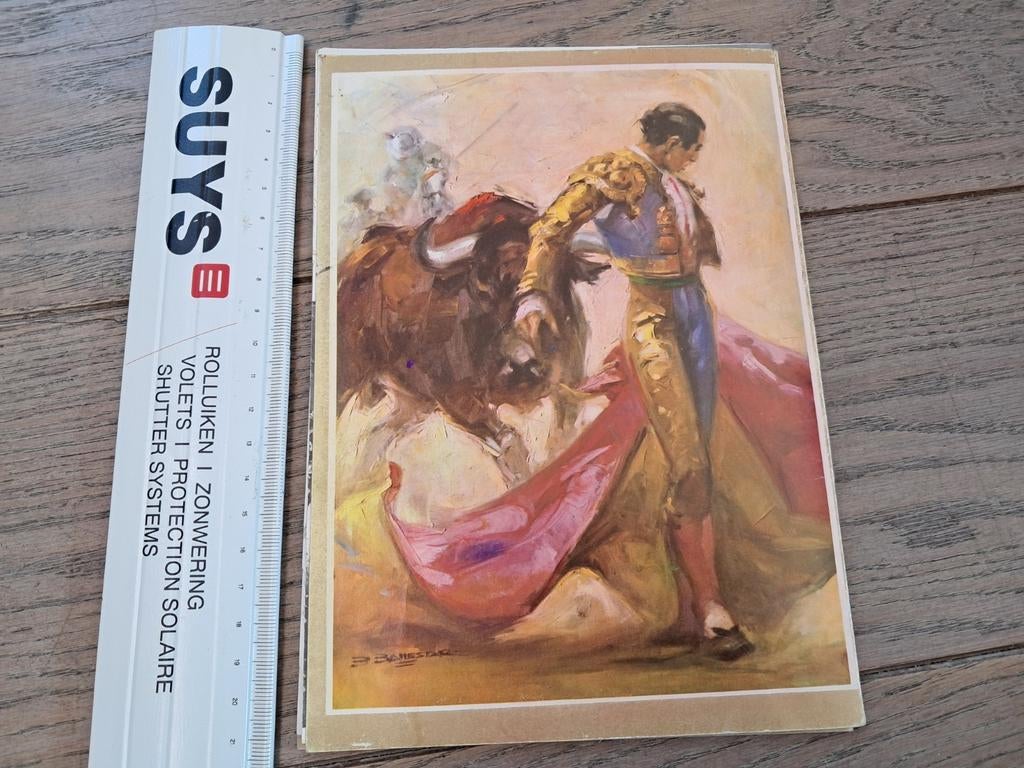 Boekje van stierengevechten, in meerdere talen, Boeken, Ophalen of Verzenden, Zo goed als nieuw