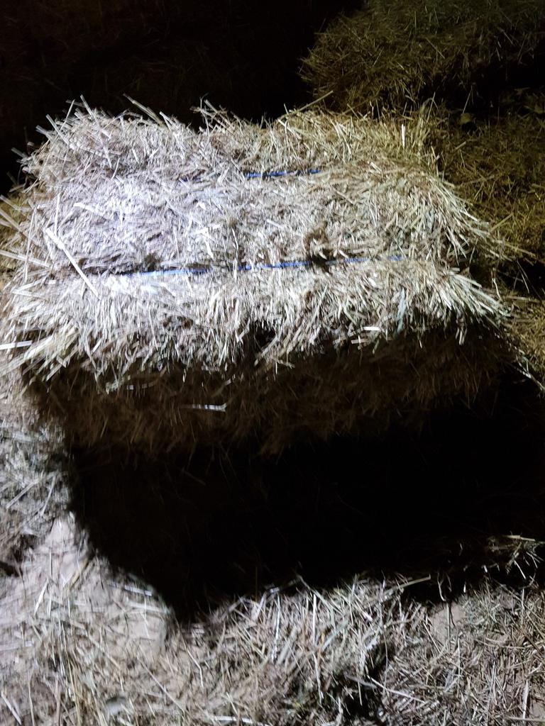 Hooi kleine balen 5€, Dieren en Toebehoren, Schapen, Geiten en Varkens