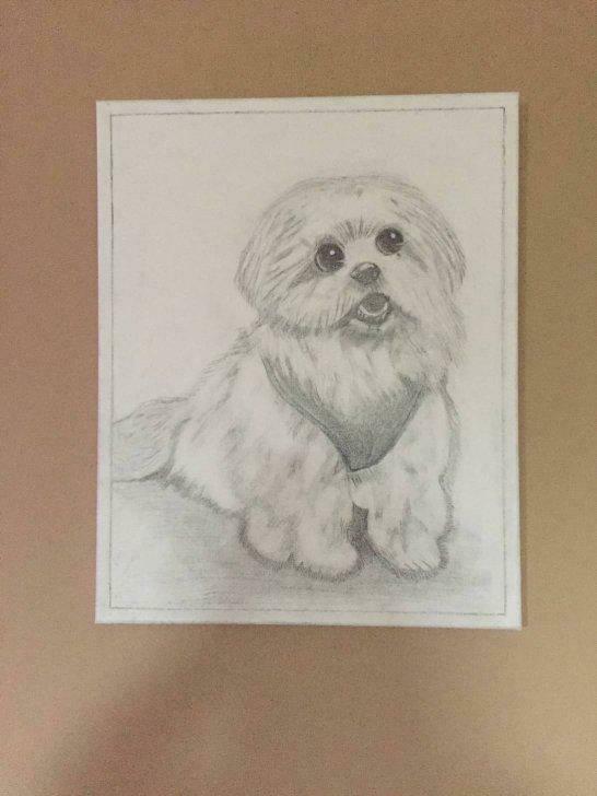 Schilderij hond, Ophalen