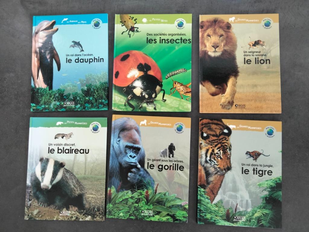 „ATLAS JUNIOR” -boeken, Non-fictie, Jongen of Meisje, Nieuw, Ophalen of Verzenden