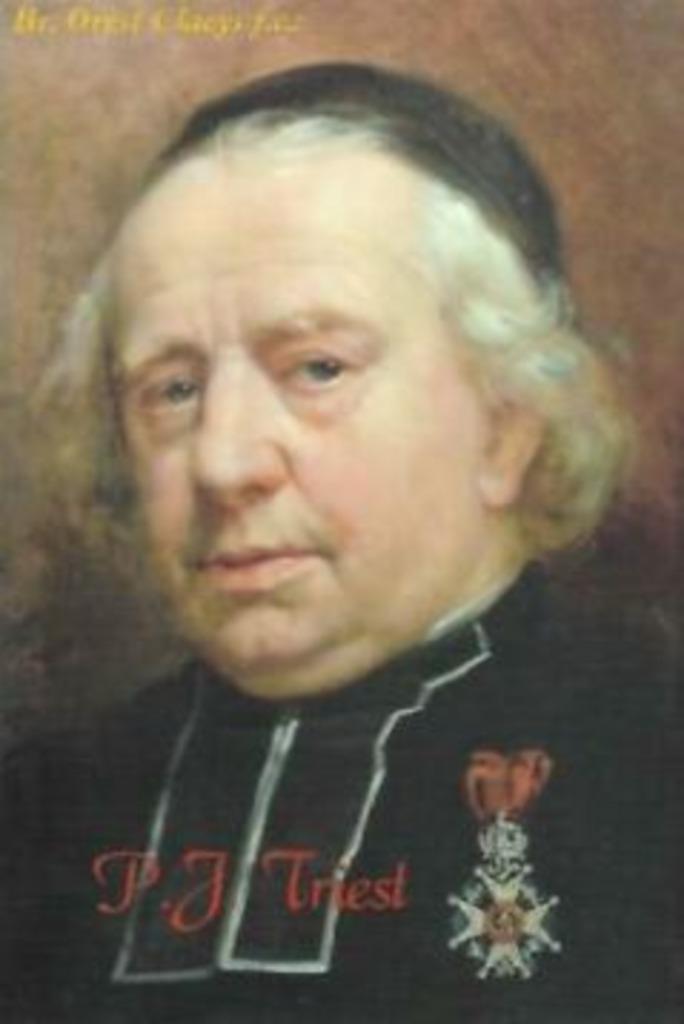 Petrus-Jozef Triest. De groei van een kloosterstichter, Livres, Biographies, Utilisé, Religion, Enlèvement ou Envoi