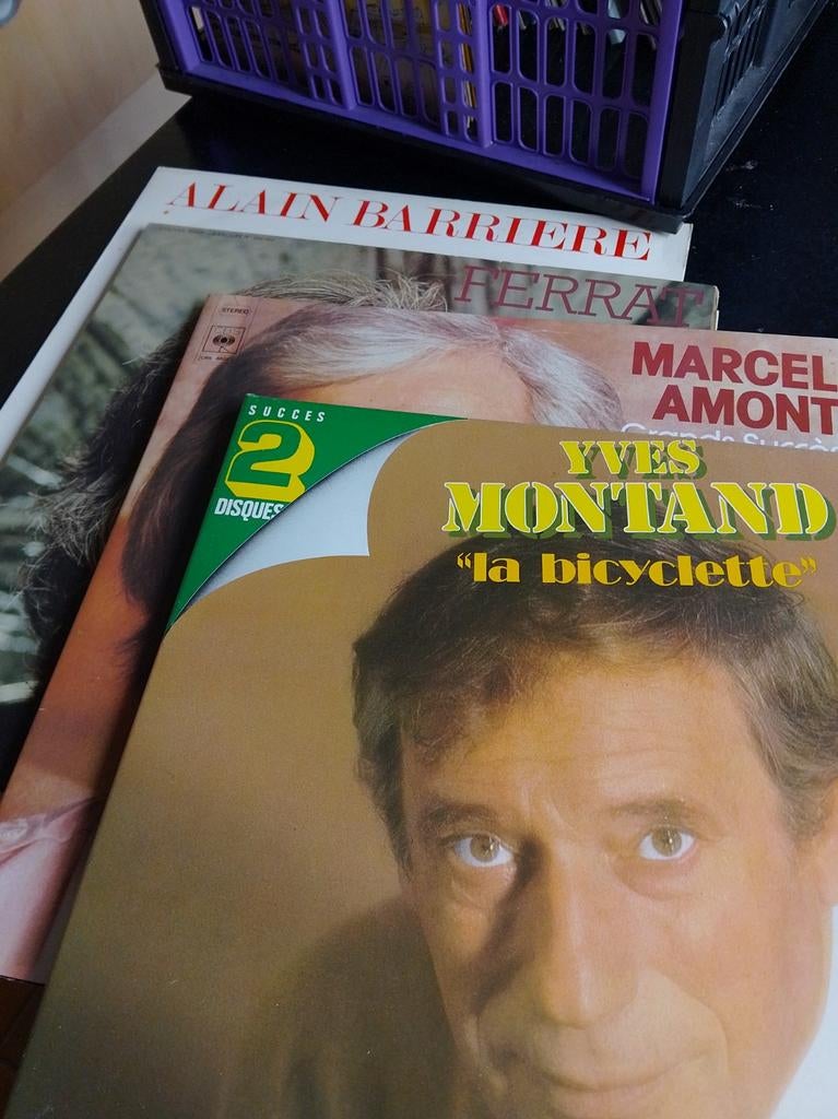 Lot de Disques Vinyles. 33tours.  Chansons françaises, Enlèvement