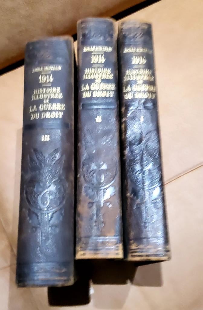 DE OORLOG VAN DE WET 1914 1918 IN DE FRANSE TAAL, Ophalen of Verzenden