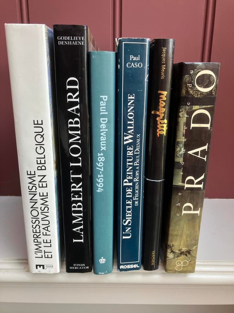 6 Beaux Livres sur la Peinture, Enlèvement, Comme neuf