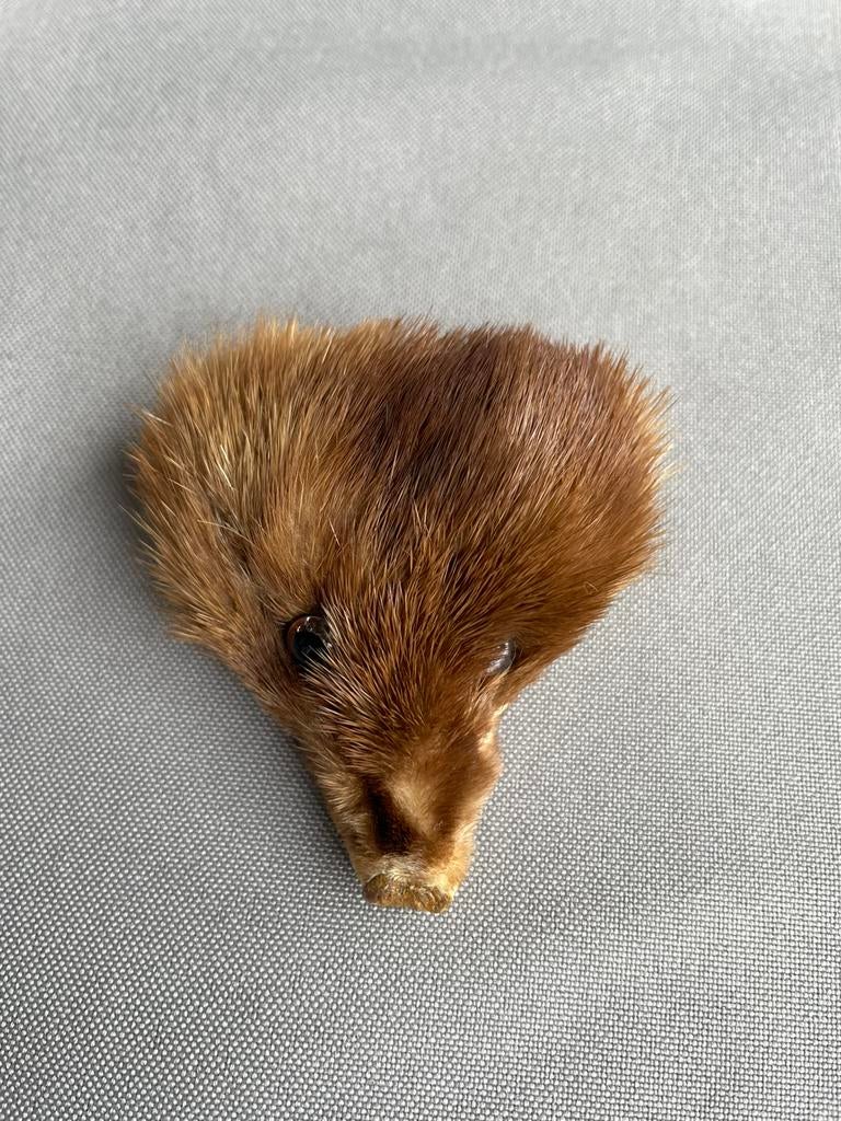 Broche met wezelkop, Antiek en Kunst, Ophalen of Verzenden
