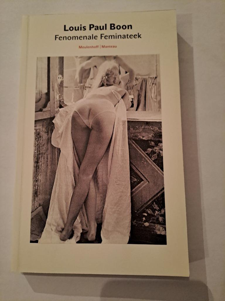 Fenomenale Feminateek, Louis Paul Boon, Boeken, Ophalen, Zo goed als nieuw, Boon Louis Paul