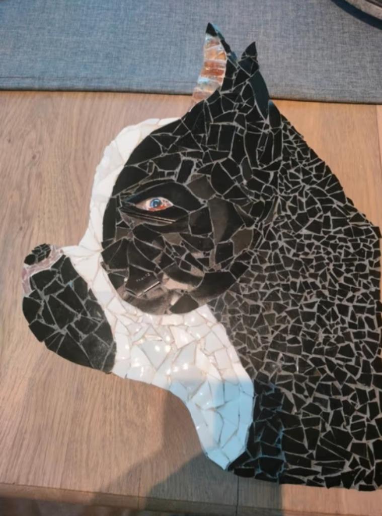 Franse bulldog mozaïek, Ophalen, Nieuw