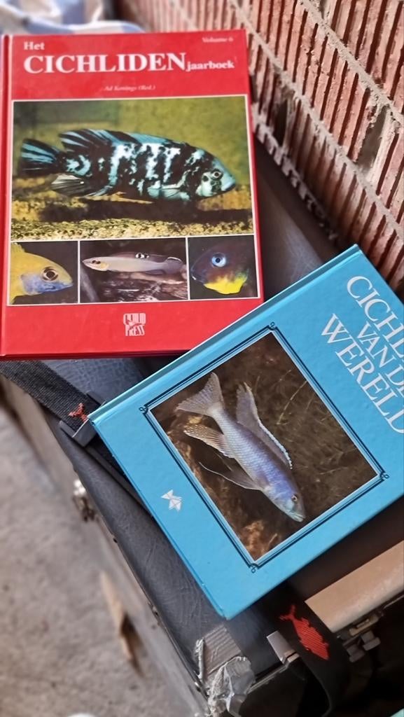 Tanganika Chichliden boeken, Ophalen of Verzenden, Zo goed als nieuw