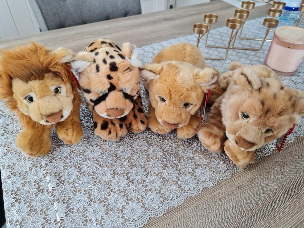 Knuffels katachtigen, Ophalen, Nieuw, Overige typen, Overige merken