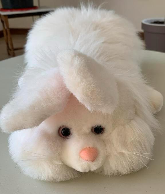 Knuffel wit konijn, Ophalen, Zo goed als nieuw, Konijn