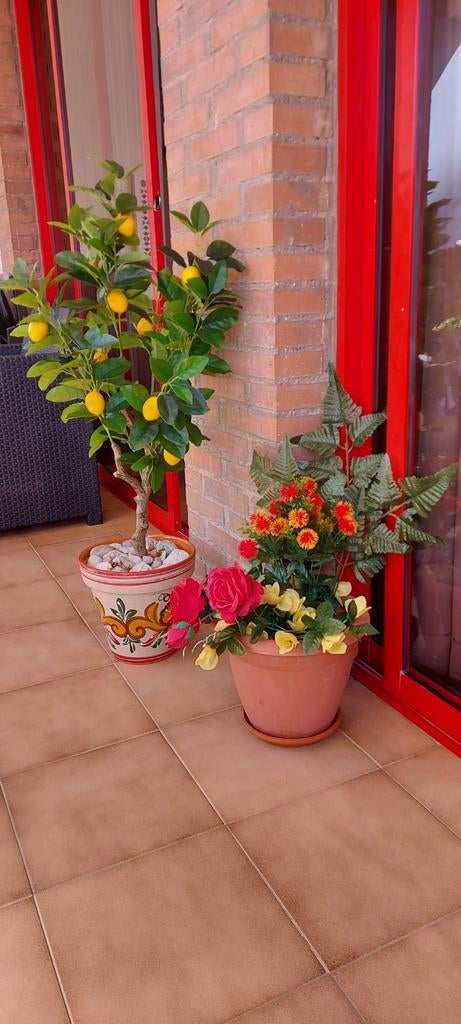 Appartement à louer à Benidorm, Vacances, Machine à laver, Appartement