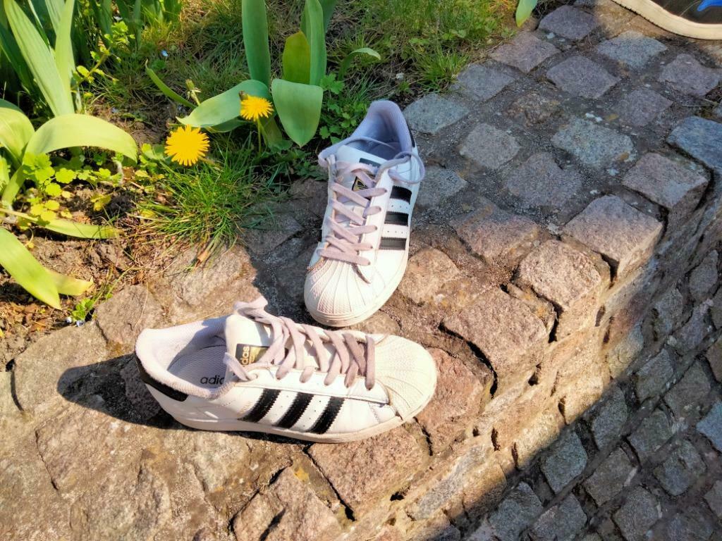 ADIDAS SUPERSTAR POINTURE 36, Adidas, Garçon ou Fille, Comme neuf, Enlèvement