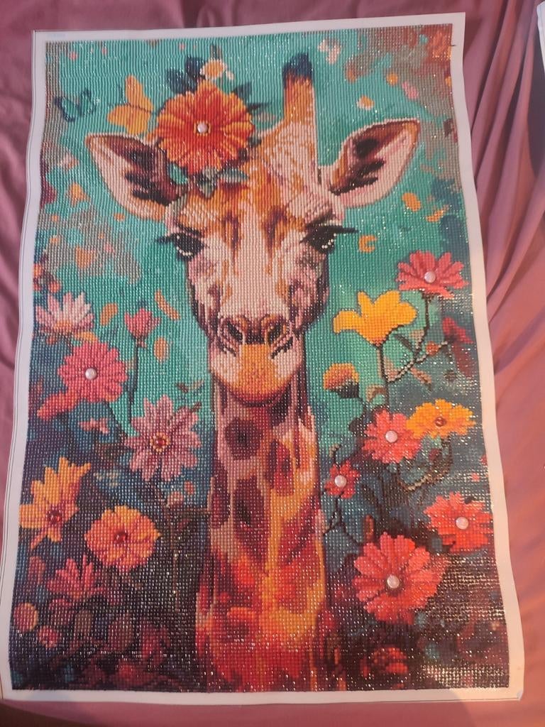 Toiles diamond painting en 40. 60, Hobby en Vrije tijd, Ministeck, Zo goed als nieuw, Ophalen of Verzenden