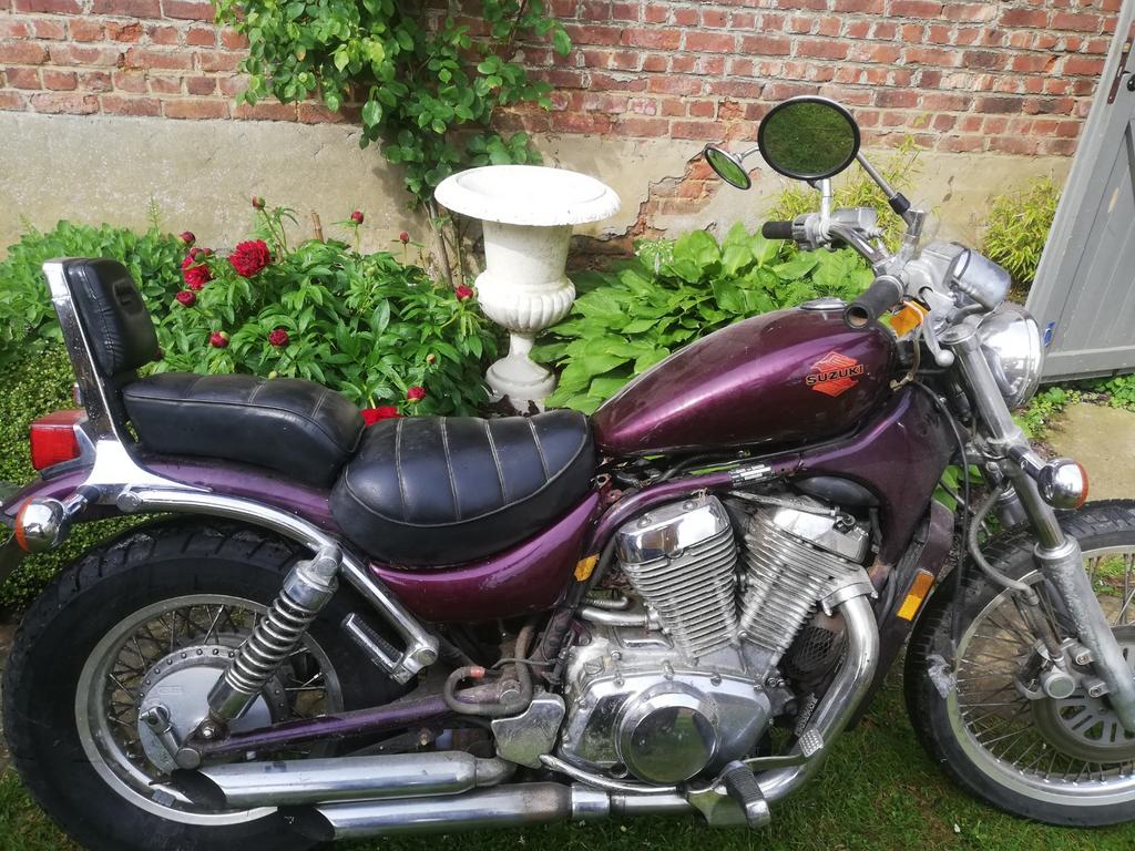 Intruder, Motoren, Onderdelen | Suzuki, Ophalen