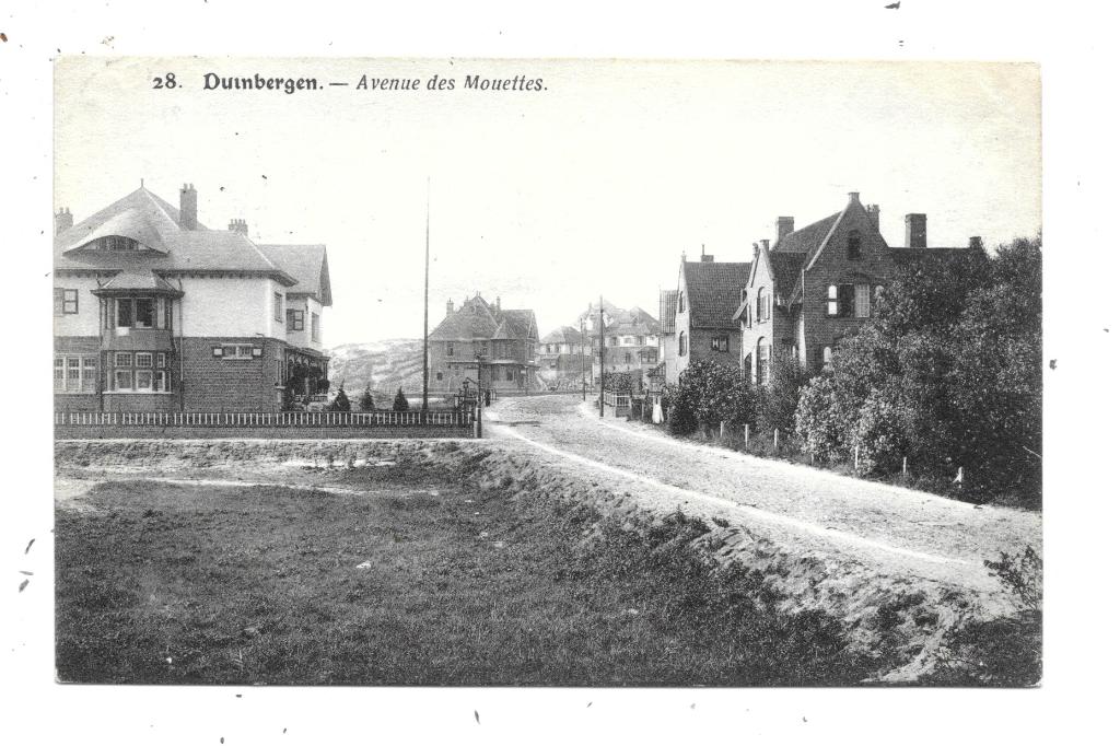 Duinbergen NA71: Avenue des Mouettes 1920, Verzamelen, Verzenden, 1920 tot 1940, Ongelopen, West-Vlaanderen
