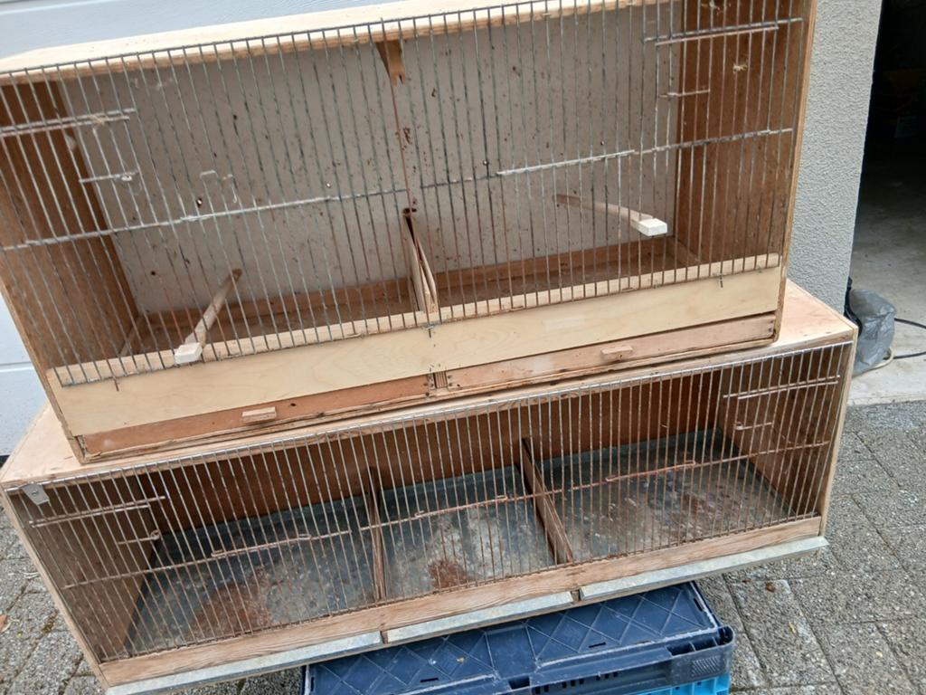 Vogels en toebehoren, Dieren en Toebehoren, Vogels | Hokken en Kooien, Ophalen of Verzenden