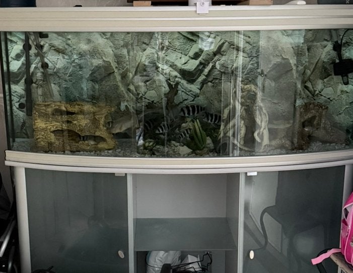 Aquarium van 400 liter met kast, Ophalen of Verzenden, Zo goed als nieuw, Overige merken
