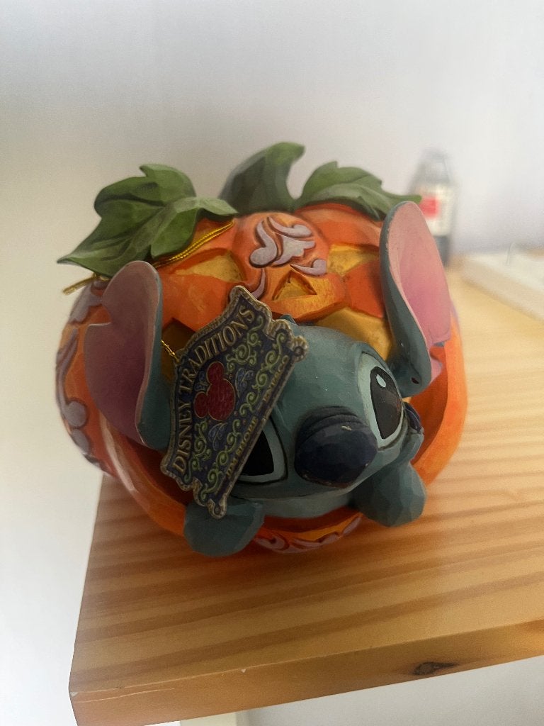 Stitch beeld pompoen, Ophalen