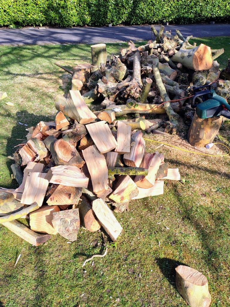 Brandhout plataan te koop, Ophalen