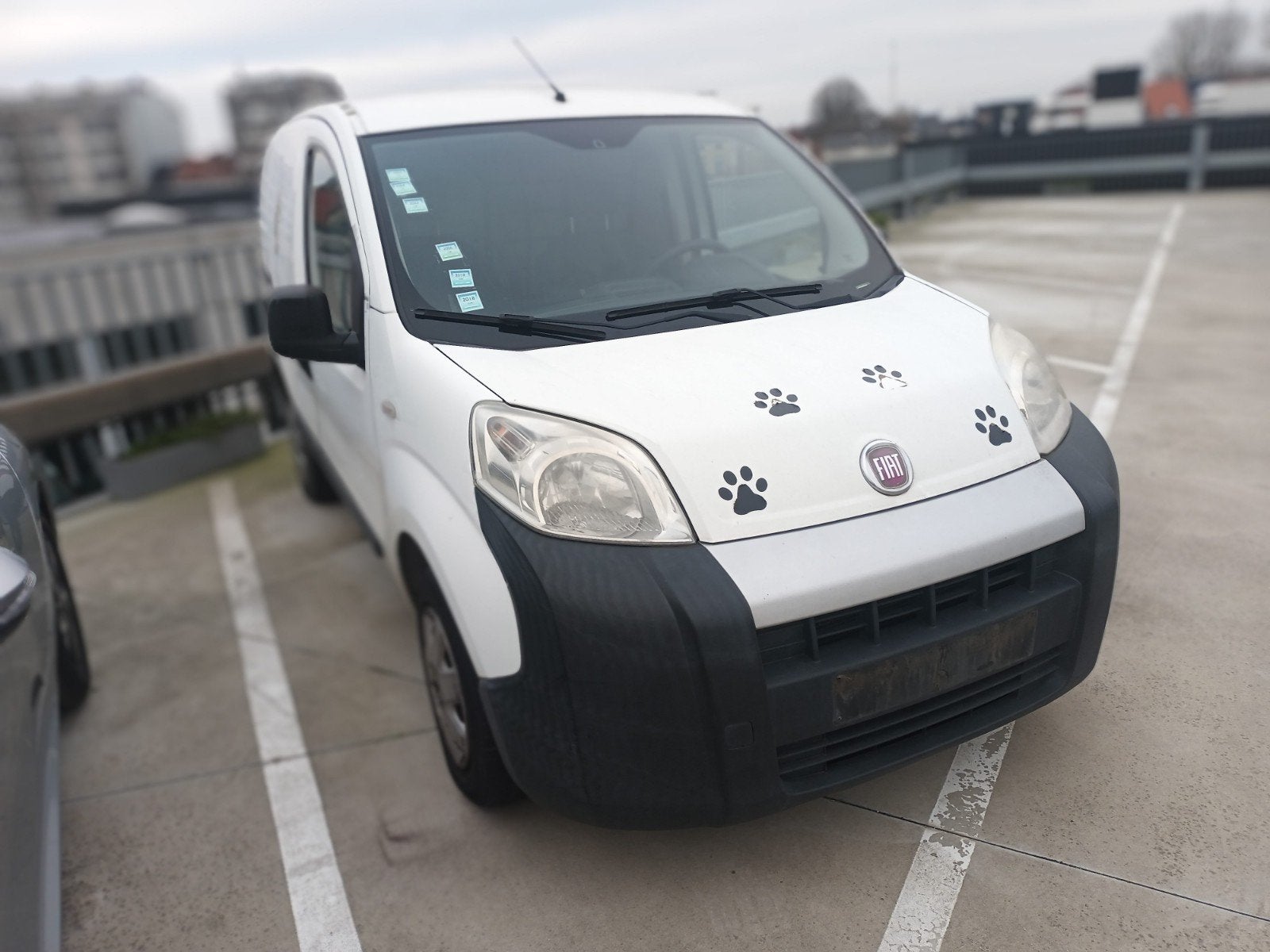 Fiat Fiorino uniquement export ou marchand 0032 488 94 94 09, Autos, Fiat, Achat, Entreprise, 1300 cm³, Euro 4