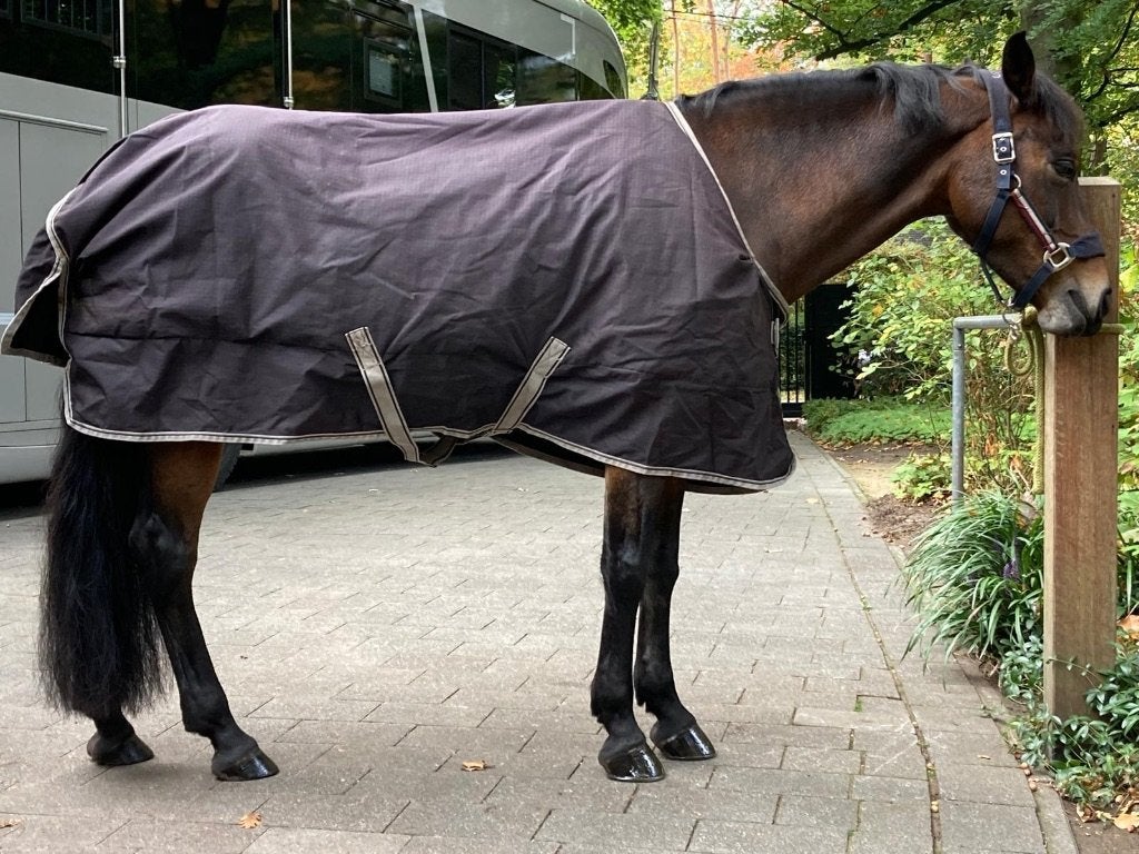 Bucas regendeken zwart “annyversery edition” voor D pony, Bucas, Noir, Couverture de pluie, Utilisé