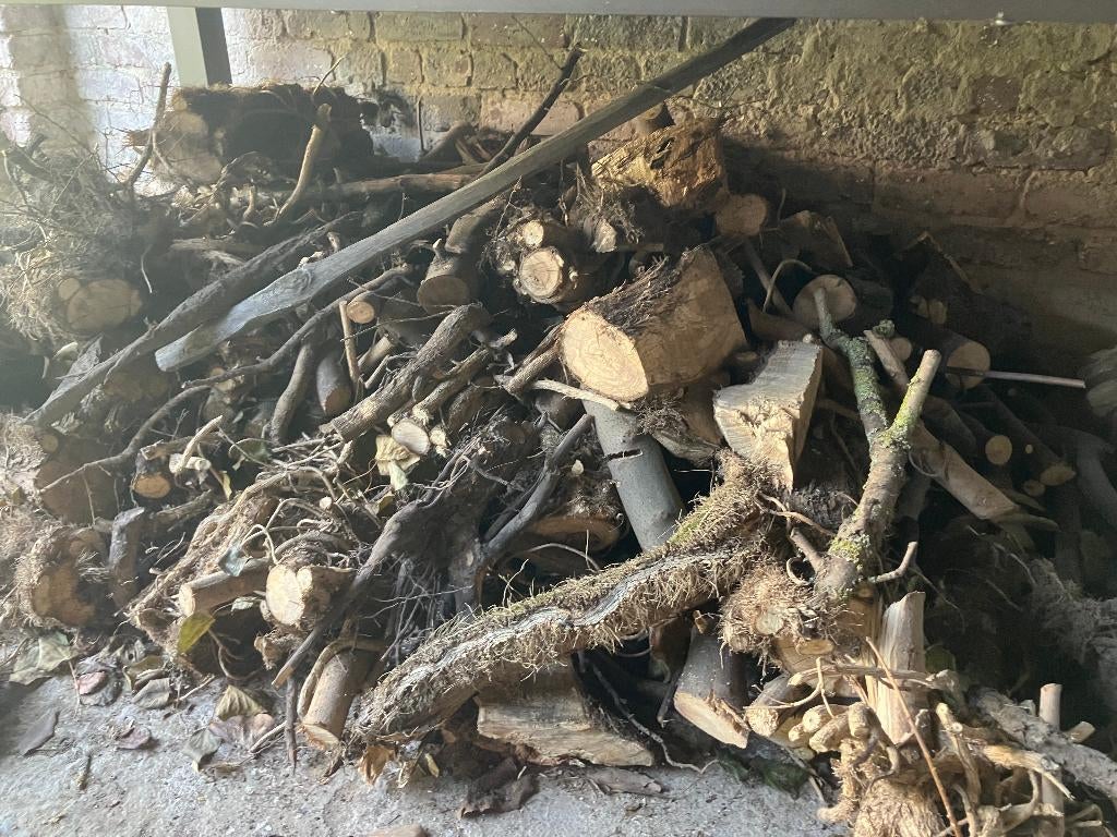 gratis stapel brandhout, Moins de 3 m³, Enlèvement, Autres essences de bois, Troncs d'arbres