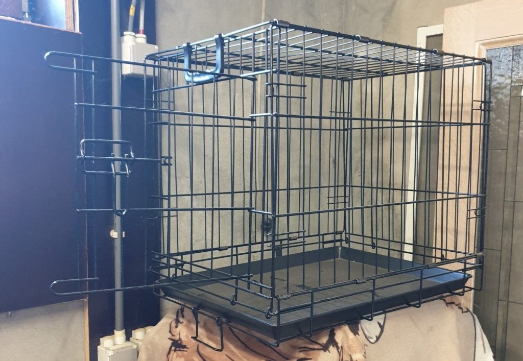 Bench hond, Dieren en Toebehoren, Ophalen, Gebruikt
