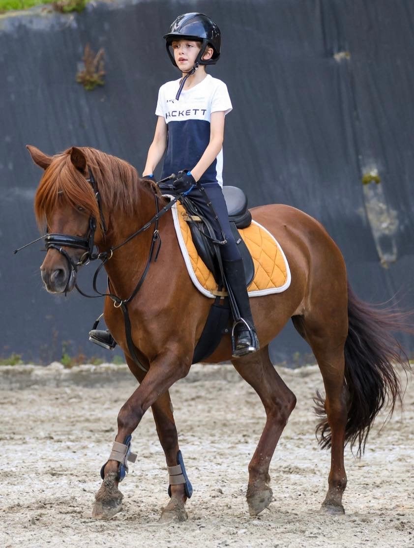 Super brave D pony, Dieren en Toebehoren, Paarden, Merrie