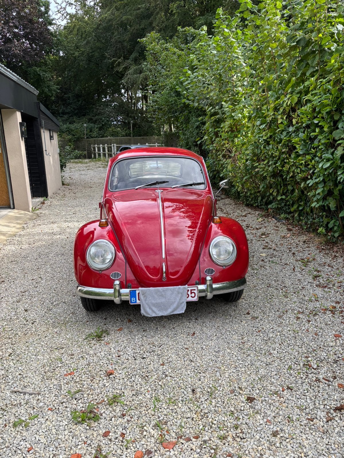Volkswagen Beetle à vendre !, Autos, Rouge, Achat, Beige, Boîte manuelle