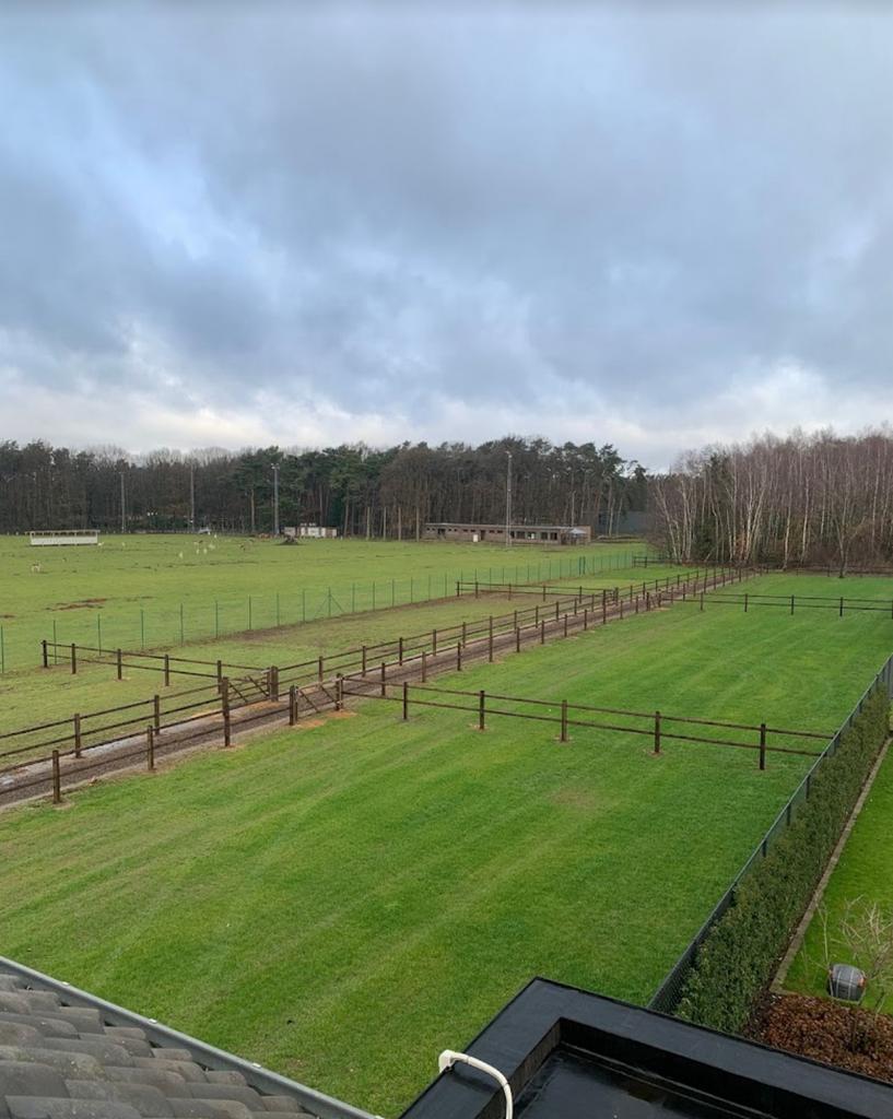 Stalling met weidegang, Weidegang