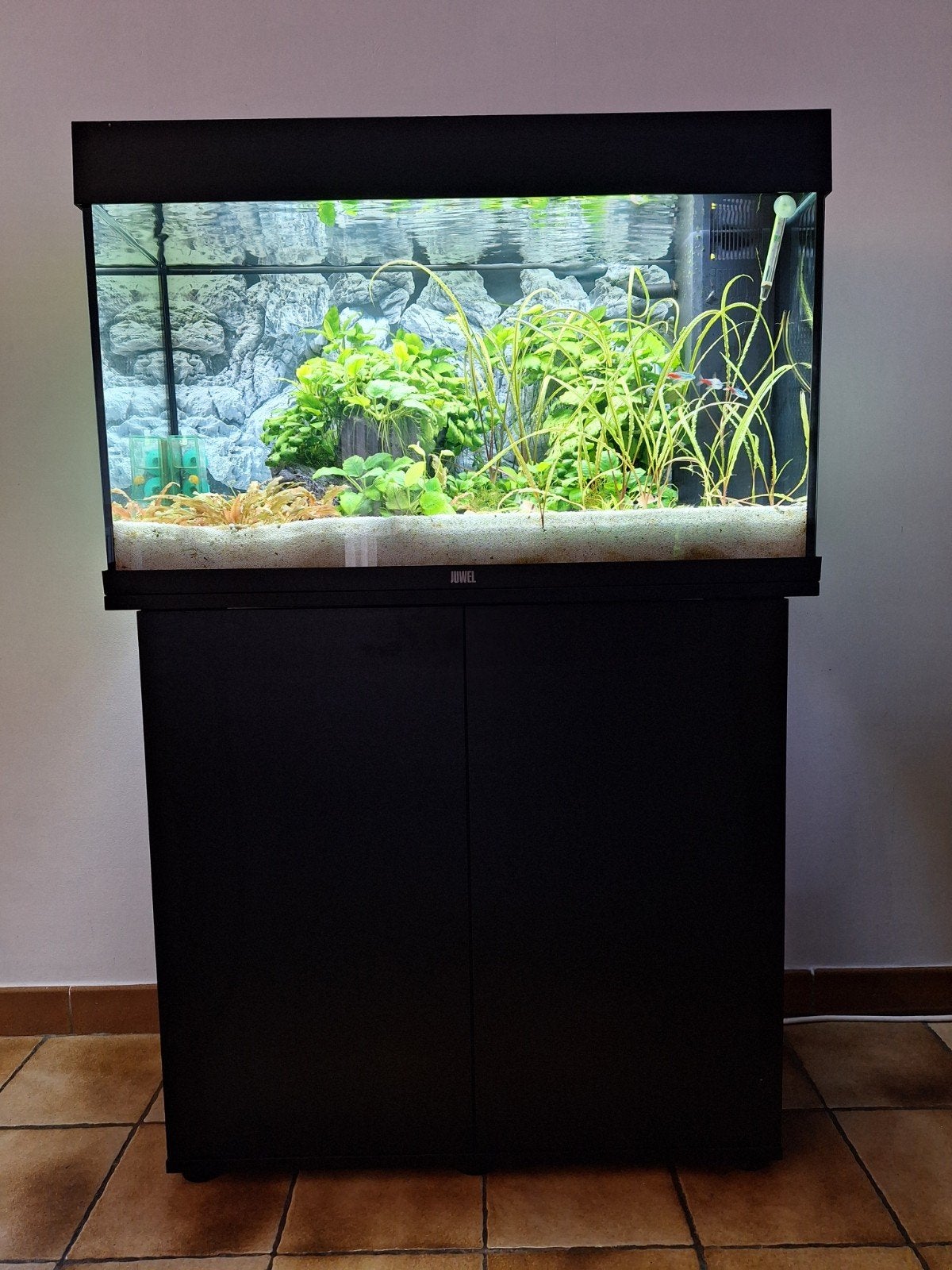 Aquarium Juwel Rio 125 met planten en visbestand, Dieren en Toebehoren, Vissen | Aquaria en Toebehoren, Ophalen, Juwel