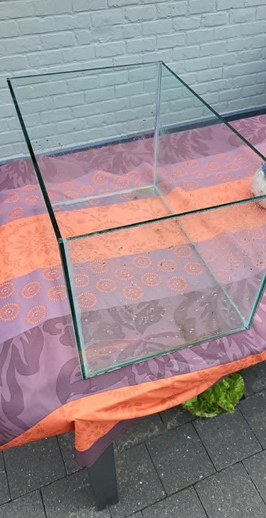 aquarium terrarium 90L  1cm dik glas, Ophalen