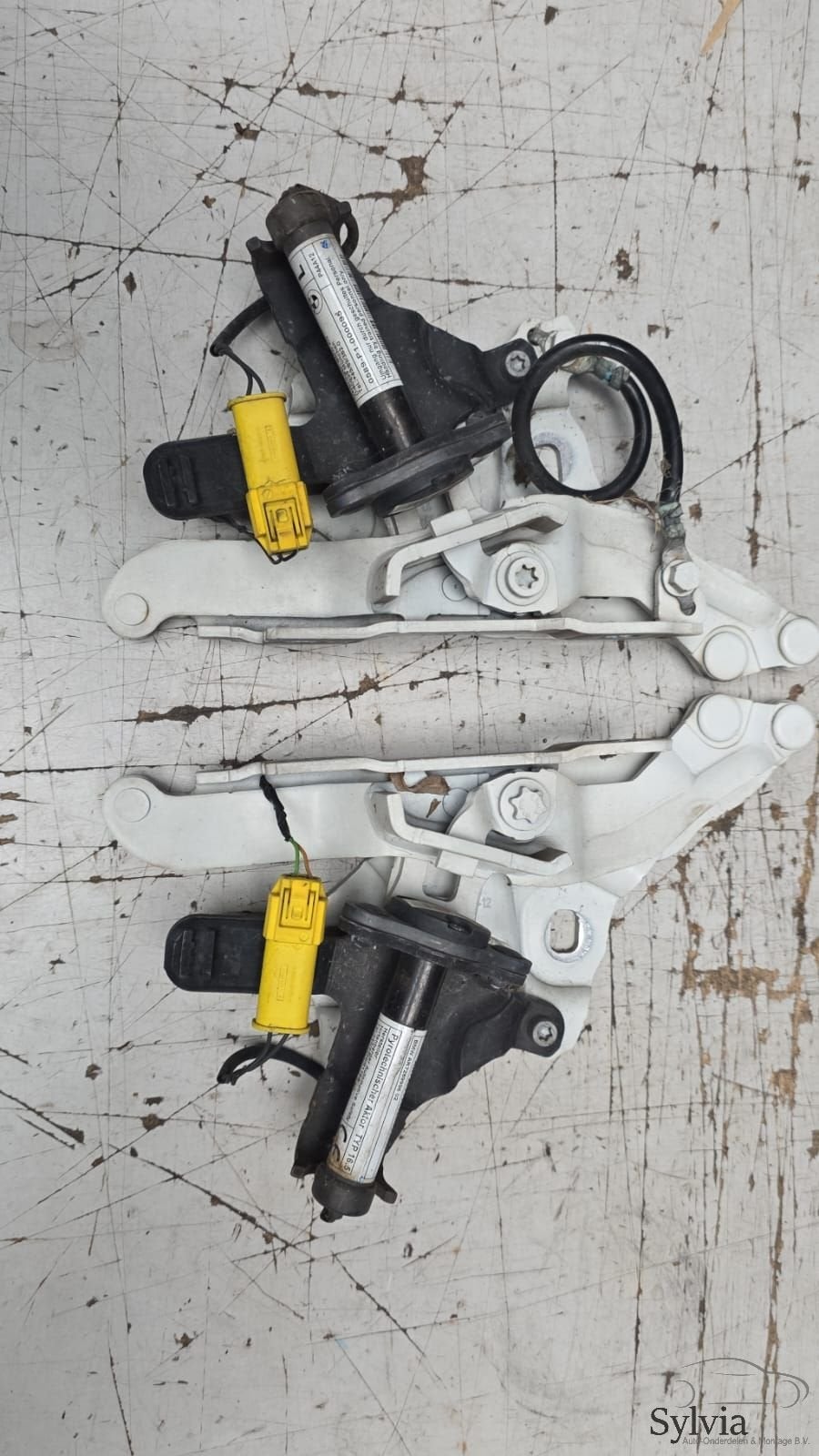 Motorkap scharnier set incl. actuators BMW 1 serie E82 E88, -, Utilisé, -, -