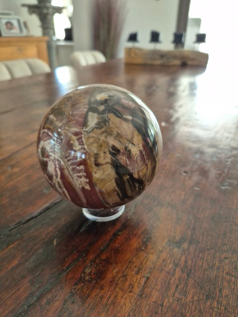 Versteend hout, Ophalen of Verzenden