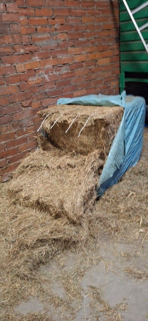 Hooi 80x90x160mm voor paarden, Dieren en Toebehoren