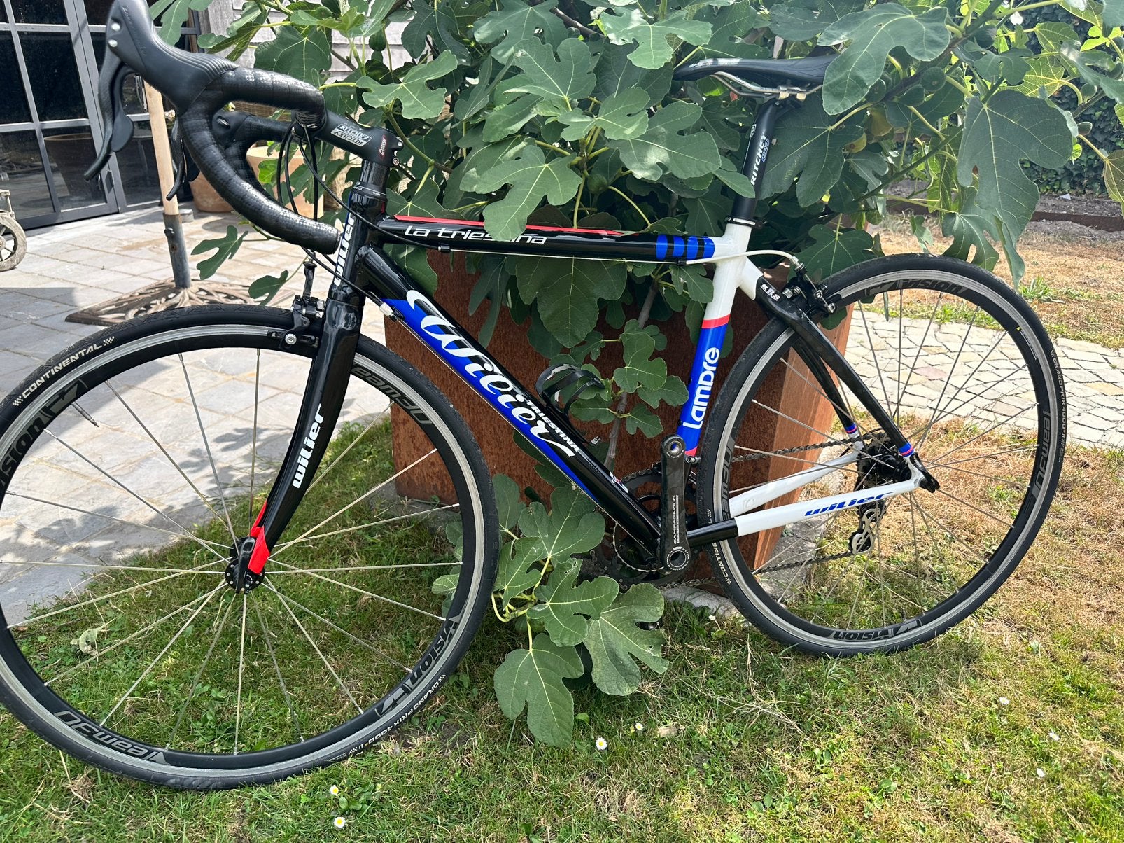 Wilier Triesta - maat 48, Ophalen, Gebruikt