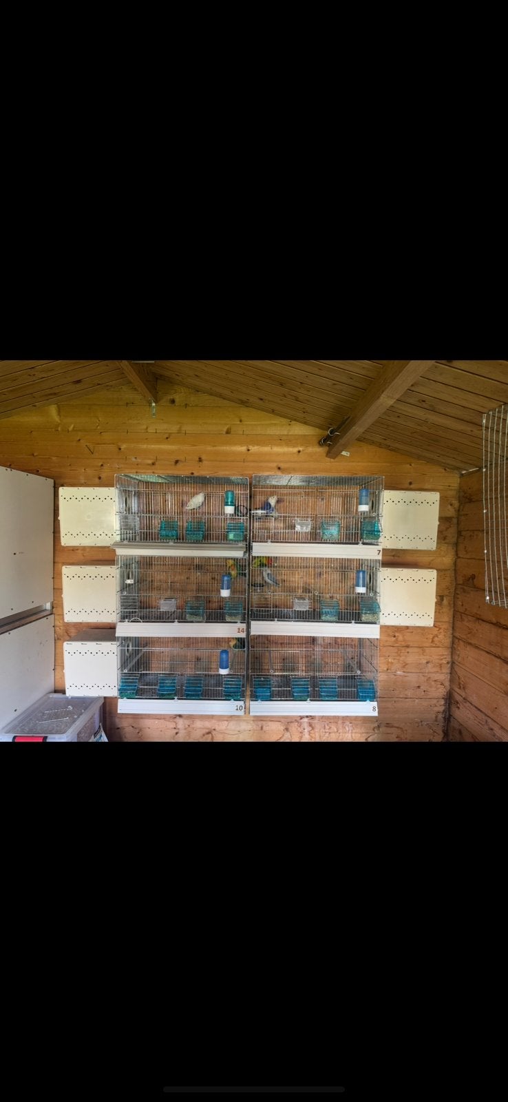 Cages d’élevage oiseaux, Animaux & Accessoires, Enlèvement, Comme neuf
