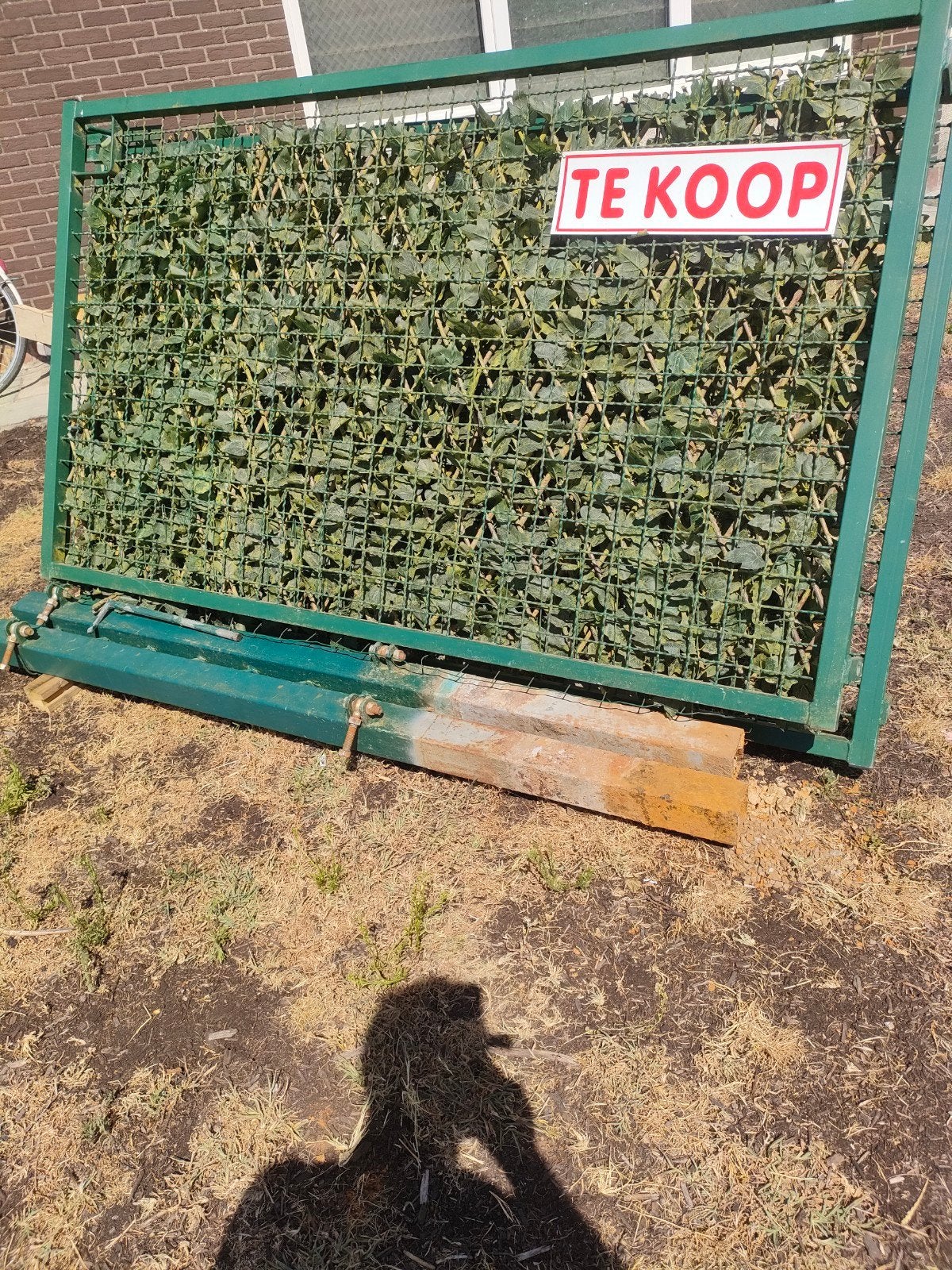 hekken met sierbladeren, Ophalen