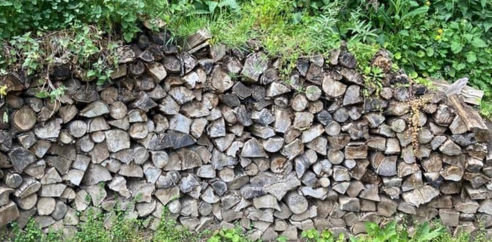Hout Beuk/berk/den, Enlèvement, Comme neuf