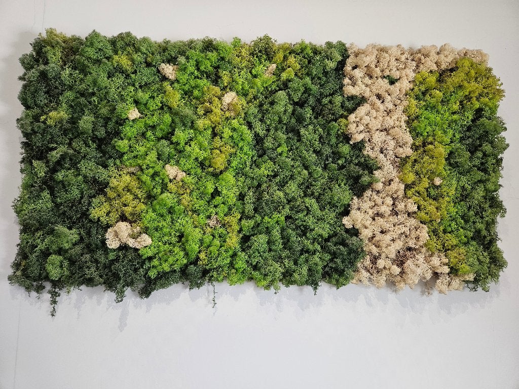 Wanddecoratie mos, Ophalen, Gebruikt, Wandbord of Wandpaneel