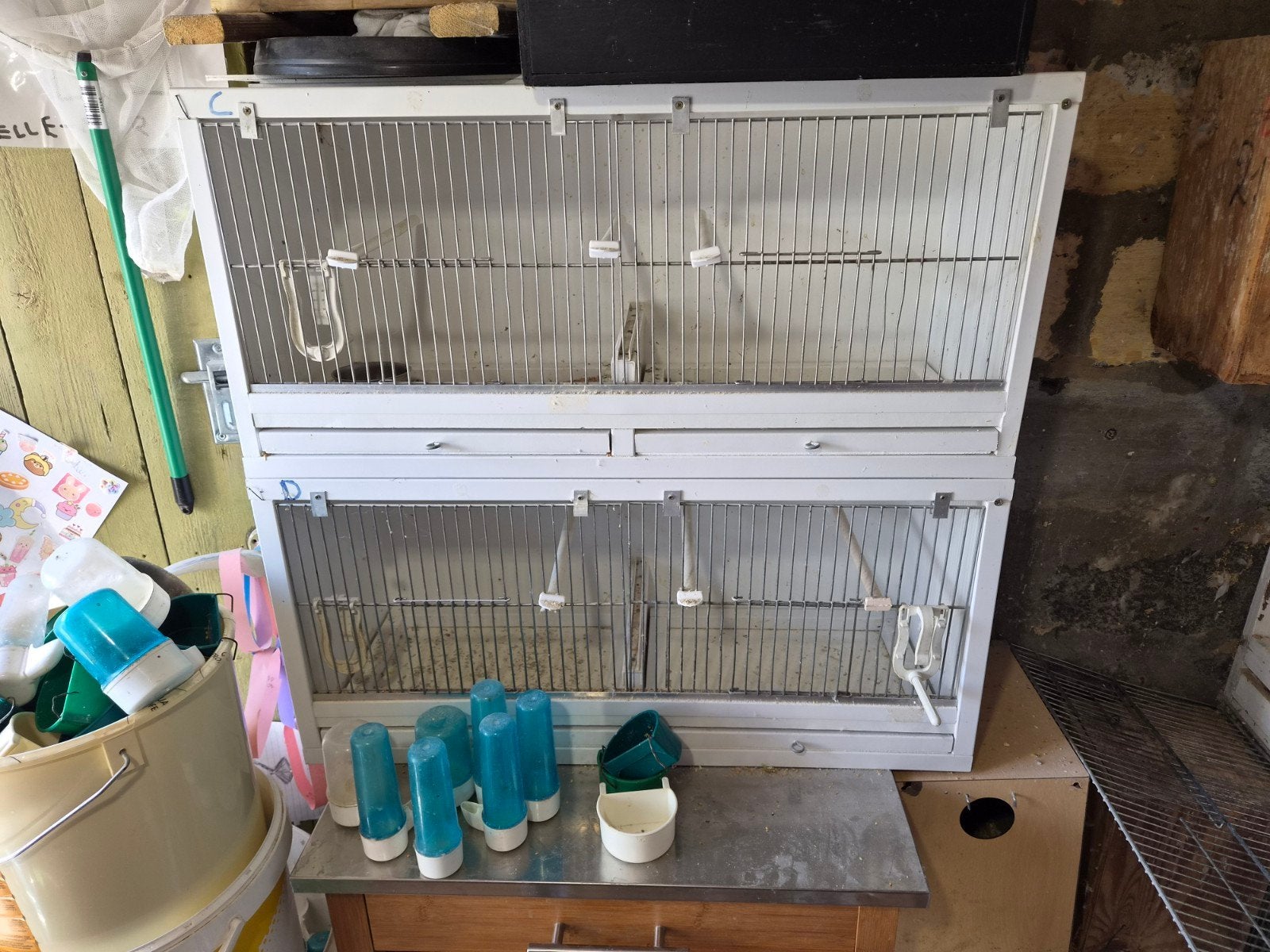 4 kooien tekoop 10euro per stuk, Dieren en Toebehoren, Ophalen