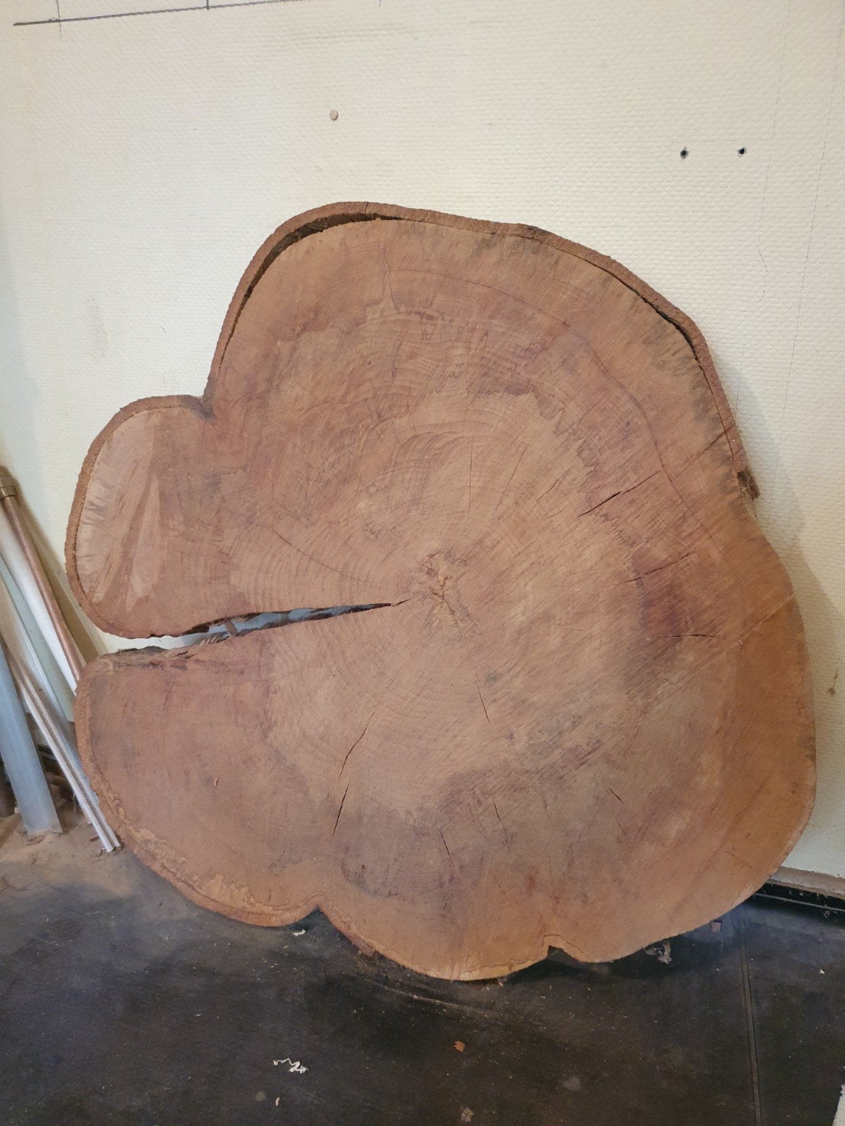 Schijf beukenhout, Doe-het-zelf en Bouw, Ophalen