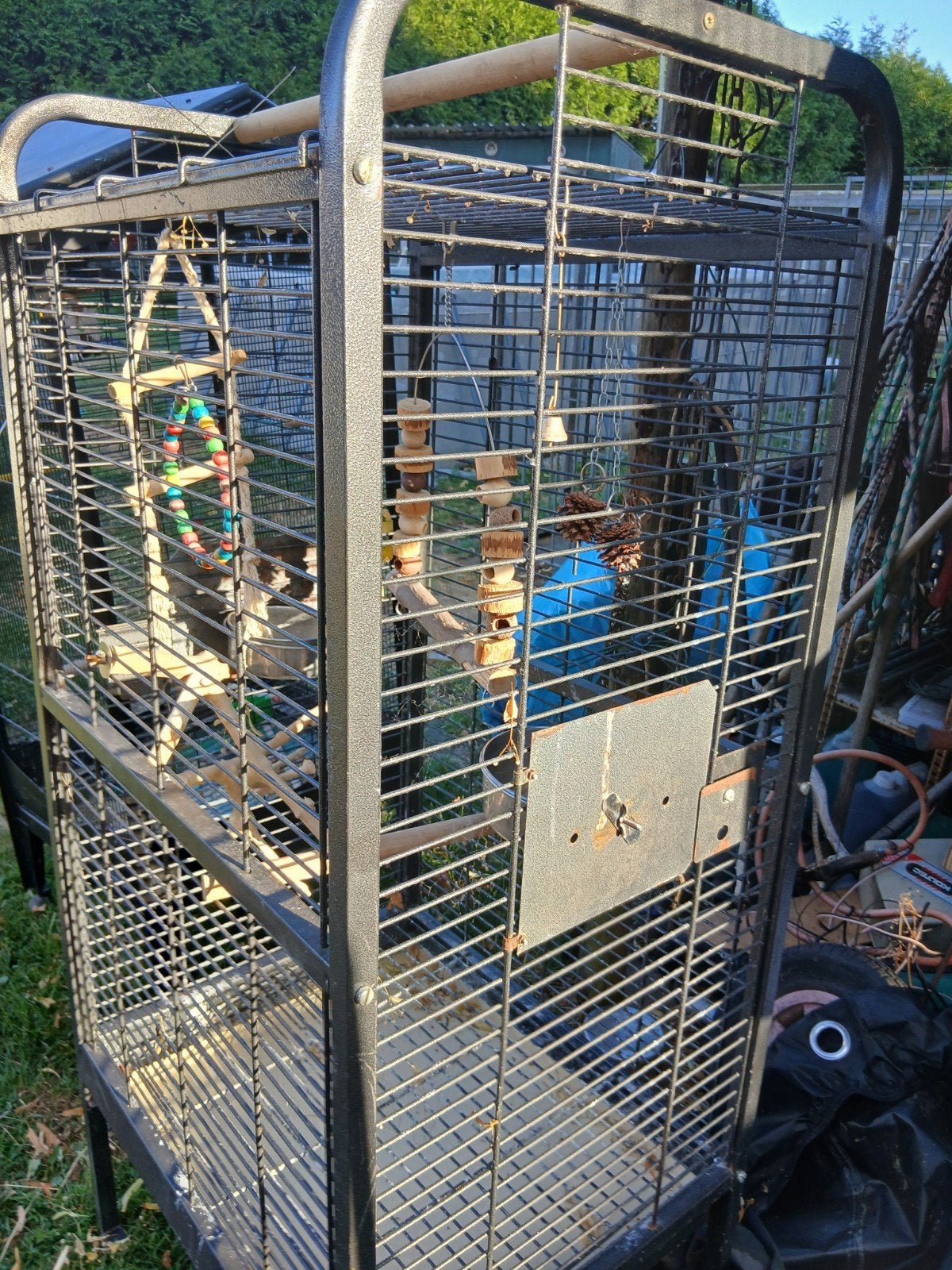 Papegaai kooi, Dieren en Toebehoren, Ophalen