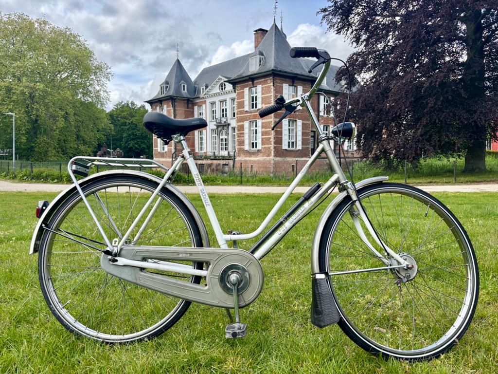 Gazelle Primeur – klassieke damesfiets - Rijklaar, Fietsen en Brommers, Fietsen | Dames | Damesfietsen, Ophalen, (Extra) lage instap