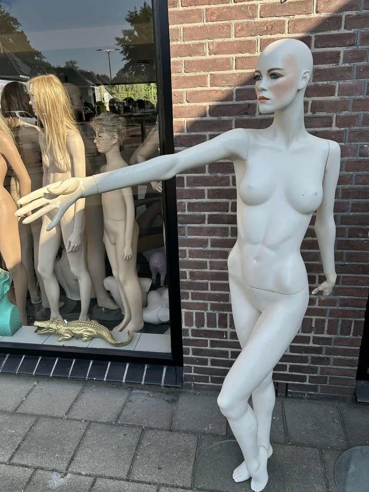 Mannequin Hindsgaul « ANGIE 5509 », Enlèvement ou Envoi