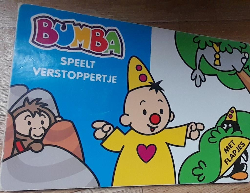 Boek Bumba speelt verstoppertje, Ophalen of Verzenden, Zo goed als nieuw