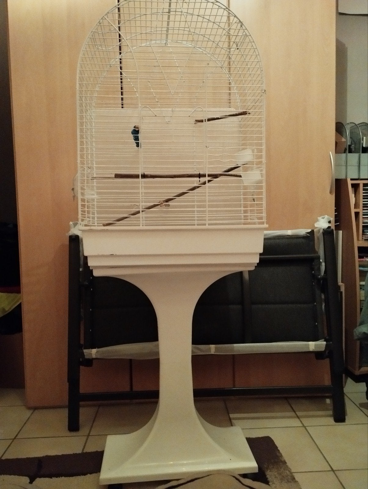 vogelkooi op voet, Enlèvement, Cage à oiseaux