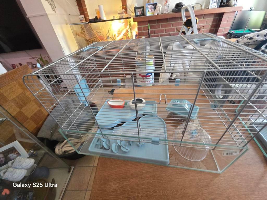 Cage pour hamster, Enlèvement ou Envoi